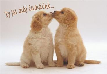 ty jsi můj čumáček.jpg